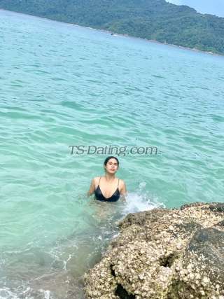 trans girl TStiha 8325127 trans girl TStiha 8325127