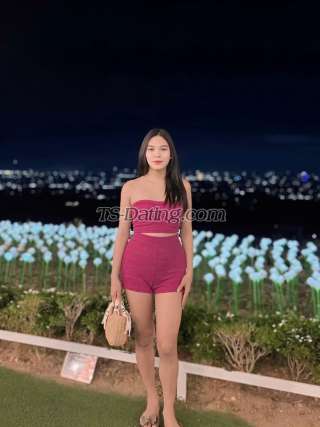 trans girl TSyoungPamela 1390178 trans girl TSyoungPamela 1390178