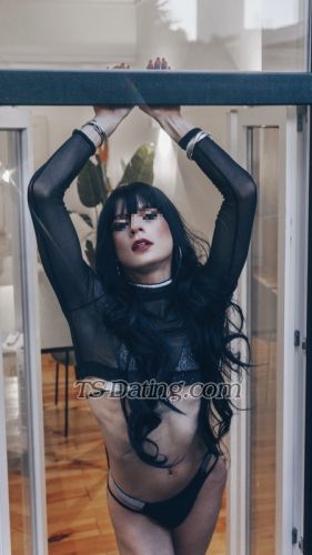 trans girl TVNiicole 5364567 trans girl TVNiicole 5364567
