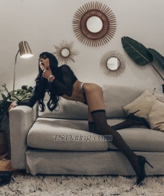 trans girl TVNiicole 5364590 trans girl TVNiicole 5364590