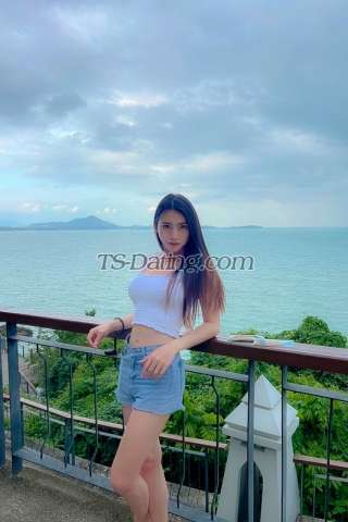 trans girl Tagei4525 3950693