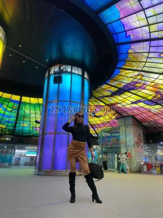 trans girl Tammy22 8341777 trans girl Tammy22 8341777