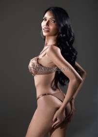 Tara 28 Cebu Transex Experience passion like never been before
❤️

I'm Tara your wildest dream, 26-year-old
stunner
I'M AVAILABLE ALWAYS WHEN YOU NEED MY
SERVICE...
My services are beyond your expectations.
Your satisfaction is my satisfaction.
I am 100% clean,
safe and disease-free. If you are seeking the very best
experiences that life has to offer then you found me! I am
the perfect companion and take you to a sensual place beyond
your wildest fantasies. When I'm done with you, you will
blissfully never be the same. Believe that. Go ahead, make
your move, and let's make it all happen.
Don't waste
your time and contact me directly ! 

MY CONTACT
DETAILS *
Whatsapp: +639543327929
Line id: 
tarafush
TELEGRAM: @tarafush

What I
Offer:
✅Romantic Girlfriend Experience &
Paid
✅Top | Verse | Bottom - Your Pleasure, Your
Choice 
✅Deep Blowjobs & Teasing Hand Jolos

✅BDSM & Dominant Mistress Experience (A
Must-Try!)
✅Sensual Touch, Passionate Kissing & Body
Massage 
✅Roleplay, Fantasy & Fetish Exploration
