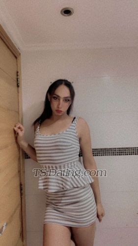 trans girl TaraBeirut 9274601