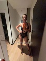 Tashitash Ashkelon Transex Tashi, independent -the deepthroat, rimming and the only
trans who can cum 3times a day! Do you want it in your mouth
or wherever you want? Come and taste my kosher trans
cum Looking for a companion who blends beauty,
confidence, and unforgettable energy?I’m Tashi, a
stunning,  trans escort offering upscale experiences for
respectful, discerning clients. Whether it’s a passionate
night behind closed doors or an elegant evening out, I
deliver connection, intimacy, and indulgence on your
terms.Please inquire respectfully for more
details.What I Offer--massage
erotic sensual– Girlfriend Experience (GFE)–
Pornstar Experience (PSE)– Passionate intimacy (bbbj,
protected anal, 69, mutual touch)– Incalls and
outcalls– Custom photos and videos– Paid cam
shows and digital sexting– Fetish-friendly and
kink-aware– Discreet companion for events and private
partiesAbout MeI’m 100% feminine
with a soft, sexy figure and a natural presence that puts
you at ease. I’m sweet, open-minded, and first-timer
friendly. I am also taking hormones Whether you’re new to
this world or well-experienced, I’ll make sure you feel
seen, safe, and completely desired. And i have a real soft
and shiny hair! what u see is what u get! I dont eat pork, I
dont smoke, I dont use drugs, I dont eat sea food and red
meat, I eat healthy and take care of myself! I
offer a full-service experience, including both top and
bottom. Personal preferences and fantasies are welcome just
let me know in advance so I can tailor our time together to
your desires.I CAN ALSO OFFER IPL HAIR REMOVAL
SESSION IPL (Intense Pulsed Light) Hair Removal is
used to reduce or remove unwanted hair on many parts of the
body.✅ Areas where IPL can be used:*
Face (upper lip, chin, sideburns)* Underarms*
Arms* Legs* Chest* Back* Stomach*
Bikini line* Brazilian area (depending on the
device)* fingers and toes