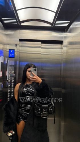 trans girl Tasso 7086076 trans girl Tasso 7086076