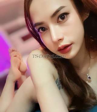 trans girl Tawisa 6046646 trans girl Tawisa 6046646