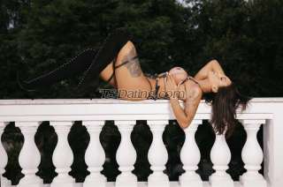 trans girl Tayla214 3128529 trans girl Tayla214 3128529