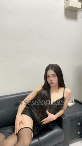 trans girl Teecherry191 4082287