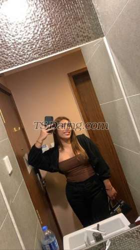 trans girl Tgirlsassy 5651526 trans girl Tgirlsassy 5651526