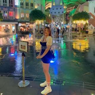 trans girl Tgirlsassy 5651692 trans girl Tgirlsassy 5651692