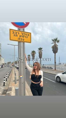 trans girl Tgirlsassy 6458745 trans girl Tgirlsassy 6458745