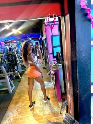 trans girl ThaizGomes 0626176 trans girl ThaizGomes 0626176