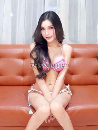 trans girl Thanarin 8837548 trans girl Thanarin 8837548