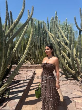 trans girl TheOliviaJade 1750798 trans girl TheOliviaJade 1750798