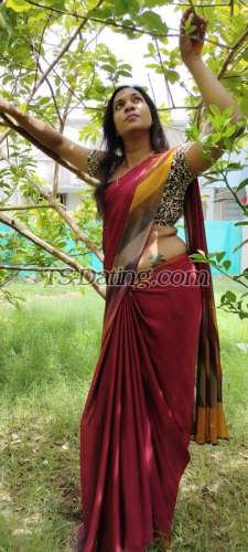 trans girl Theunicorn 7427432 trans girl Theunicorn 7427432