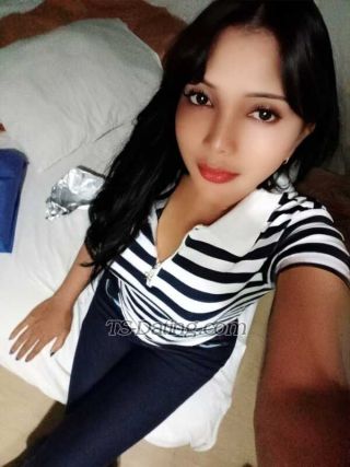 trans girl TiaraB1gbo0b 4364601