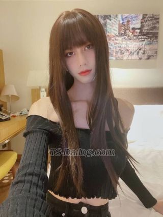 trans girl Tiffanyhk 8498334 trans girl Tiffanyhk 8498334