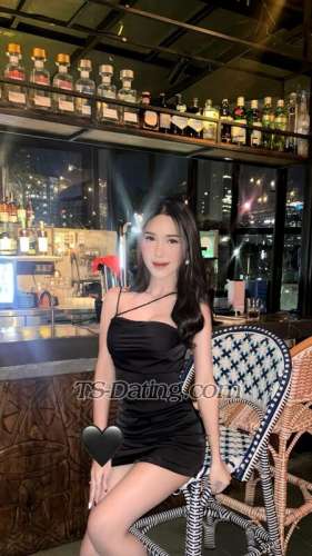 trans girl Tifsalsxx 8771816 trans girl Tifsalsxx 8771816