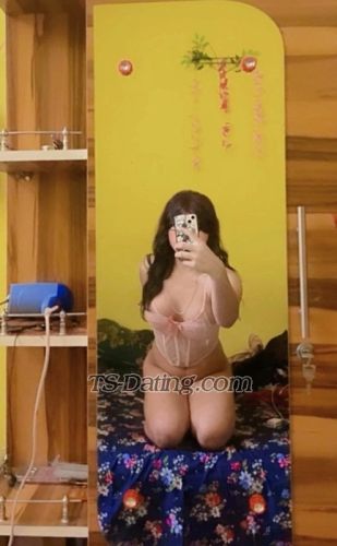 trans girl Tinabasuma 8275088 trans girl Tinabasuma 8275088