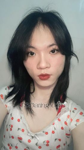 trans girl TinyLam 9919391 trans girl TinyLam 9919391