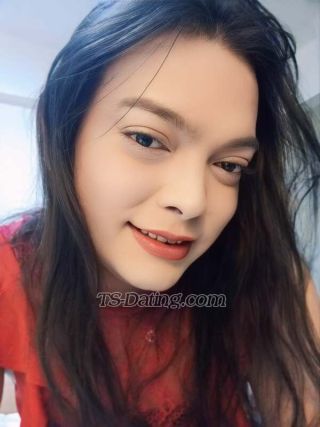 trans girl TopBarbie 9162519 trans girl TopBarbie 9162519