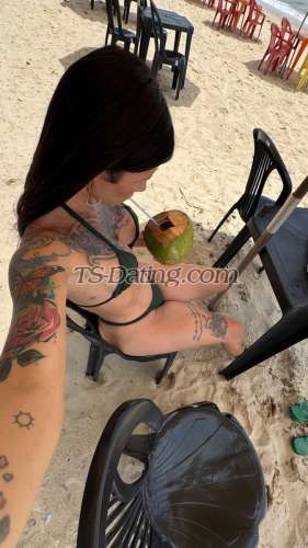 trans girl TopFontes 1965576