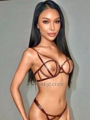 Top model Bangkok Transex Hello my name is Amily  I am half Thai 🇹🇭 and half
Norwegian.🇳🇴I’m 24 years old I have tan skin 
brown eyes I’m a tall girl 180 cm, and my body look
100% like photos.  I have nice cock 7inch, very strong
and cum a lot. I like to be  top,  and sweat bottom kiss
suck massage girlfriend experience
🍆🍑💦💋💦Please contact me if you interested
I can 3 some Pay pal , Transfer wise , Alipay or
Crypto - available   🍆WhatsApp:
+66952876910🍆Line : aemmi_477🍆 ig :
Amily.janta  Wechat:  Aaax_477Clean 💯   On
prep ✅Hiv test ✅ : 24/6/2026 Syphilis test ✅
: 24/6/2026 gonorrhea test ✅ : 24/6/2026I have
been HPV vaccinated 3 doses  