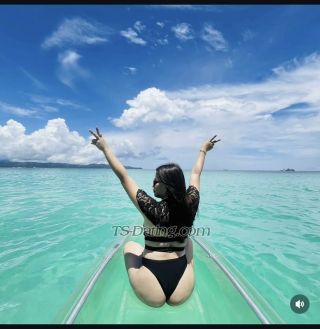 trans girl TranPatricia 3143385 trans girl TranPatricia 3143385