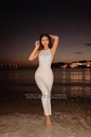 trans girl Trannyxie 2388584 trans girl Trannyxie 2388584