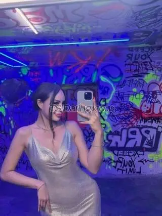 Shemale TransJensen 0379212 Shemale TransJensen 0379212