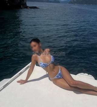 trans girl TransZoeRed 8231609 trans girl TransZoeRed 8231609