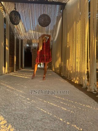 trans girl Transitalian 0558204