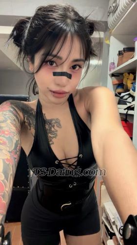 trans girl Transivy 6994078 trans girl Transivy 6994078