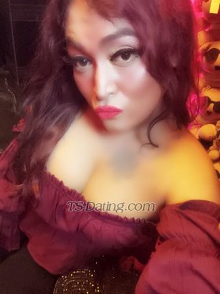 trans girl Transprinces 4343404 trans girl Transprinces 4343404