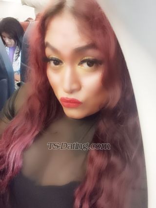 Shemale-Transprinces-7869175