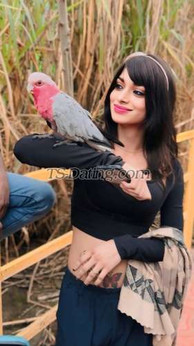 trans girl Trishtiwari 7241755 trans girl Trishtiwari 7241755