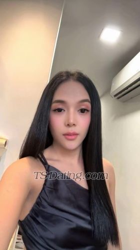 trans girl TsAngelica28 9119648 trans girl TsAngelica28 9119648