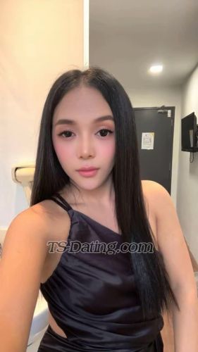 trans girl TsAngelica28 9119937 trans girl TsAngelica28 9119937