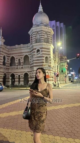 trans girl TsBigCock2026 4293609 trans girl TsBigCock2026 4293609