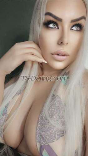 trans girl TsDanyella 6142408 trans girl TsDanyella 6142408