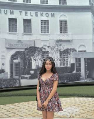 trans girl TsJasmin 1895307 trans girl TsJasmin 1895307