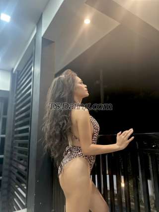 trans girl TsJasmin 6302336 trans girl TsJasmin 6302336