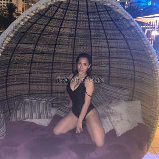 trans girl TsKikis4u 8406897 trans girl TsKikis4u 8406897