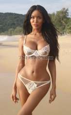 TsLiona Karbi Transex 📌PRIMERA VEZ SON MUY BIENVENIDAS 📌POPER DISPONIBLE 📌CÁMARA DE SEXO DISPONIBLE 📌TRIO DISPONIBLE ❌ SIN PELO ❌ SIN JUEGO Y DRAMA Hola soy Liona, escort preoperatoria de alto standing transexual totalmente funcional. Con tan solo 25 años con un look de modelo exótico. Como puedes ver en mis fotos (que son 100% reales y recientes), tengo un cuerpo delgado, piernas largas y un trasero curvilíneo. Mis senos son una copa realzada E . Mi piel es oscura, suave como la seda, pero tendrás que venir a sentirlo por ti mismo. Peso 55kg y mido 180cm modelo mira para servirte. Hablo bien, tengo una personalidad cálida y naturalmente femenina que sé que te tranquilizará de inmediato cuando nos encontremos. ¿Eres un primerizo nervioso? Tal vez tengas algo de experiencia pero te decepcionó un poco. Dime que quieres. Puedo ser tan pasivo o activo como quieras que sea. Me pongo duro fácilmente con mis 7 pulgadas sin cortar y me encanta llegar al clímax tanto como puedas. Puedo hacer llamadas, me hospedo en apartamentos de lujo, muy cómodos y privados, discretos, no se necesita identificación y también puedo llamar a su casa. Mis tarifas no son negociables, obtienes lo que pagas y el precio viene con clase :) Mi servicio se basa en la experiencia de novia, pero puedo hacer AZ, ¡que lo es todo! Sólo dime cuál es tu preferencia :) ¿Cómo contactarme? Twitter @Ts_liona Instagram Ts_liona ______________ ¡Te dejaré boquiabierto y te trataré como a un rey ya que la puerta está abierta! Espero verlos pronto, amor... Liona ❤️