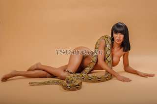 trans girl TsLiona 6454876 trans girl TsLiona 6454876