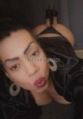 trans girl TsPricila 7667660 trans girl TsPricila 7667660