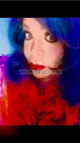 trans girl TsSalma 9313333 trans girl TsSalma 9313333