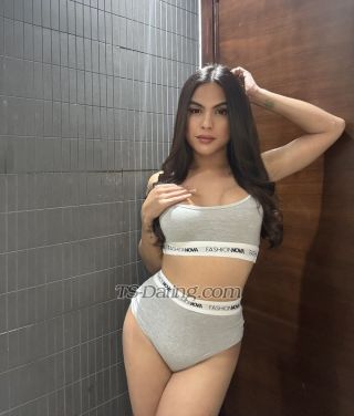trans girl TsSofia0404 0234257 trans girl TsSofia0404 0234257