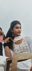 Ts Tanushka Delhi Transex Hi, I'm Tanushka..I'm here to surprise you by fullfill your fantasies..text me or call me I'll be there for you